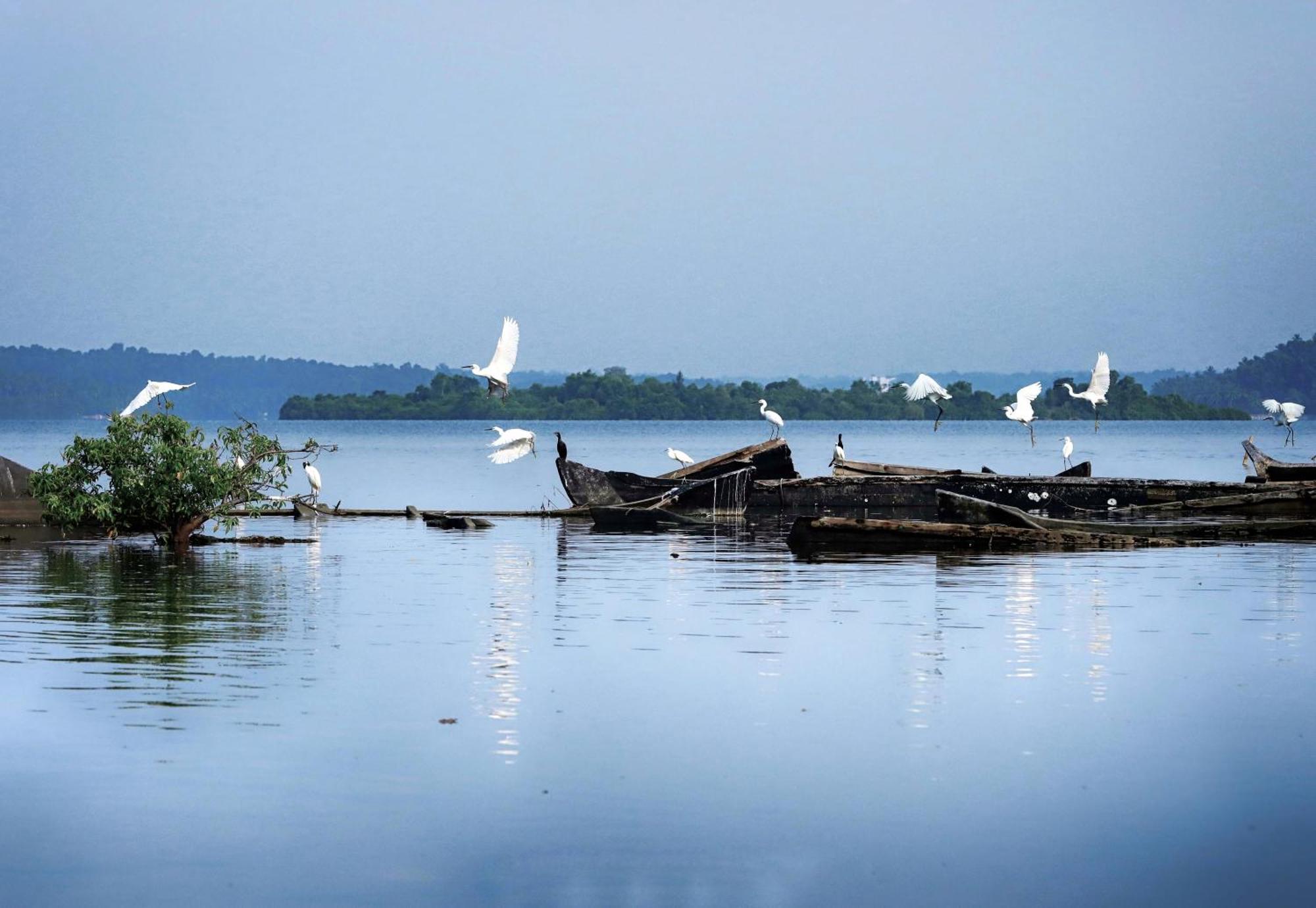 Prakruthi Residency Munroeisland