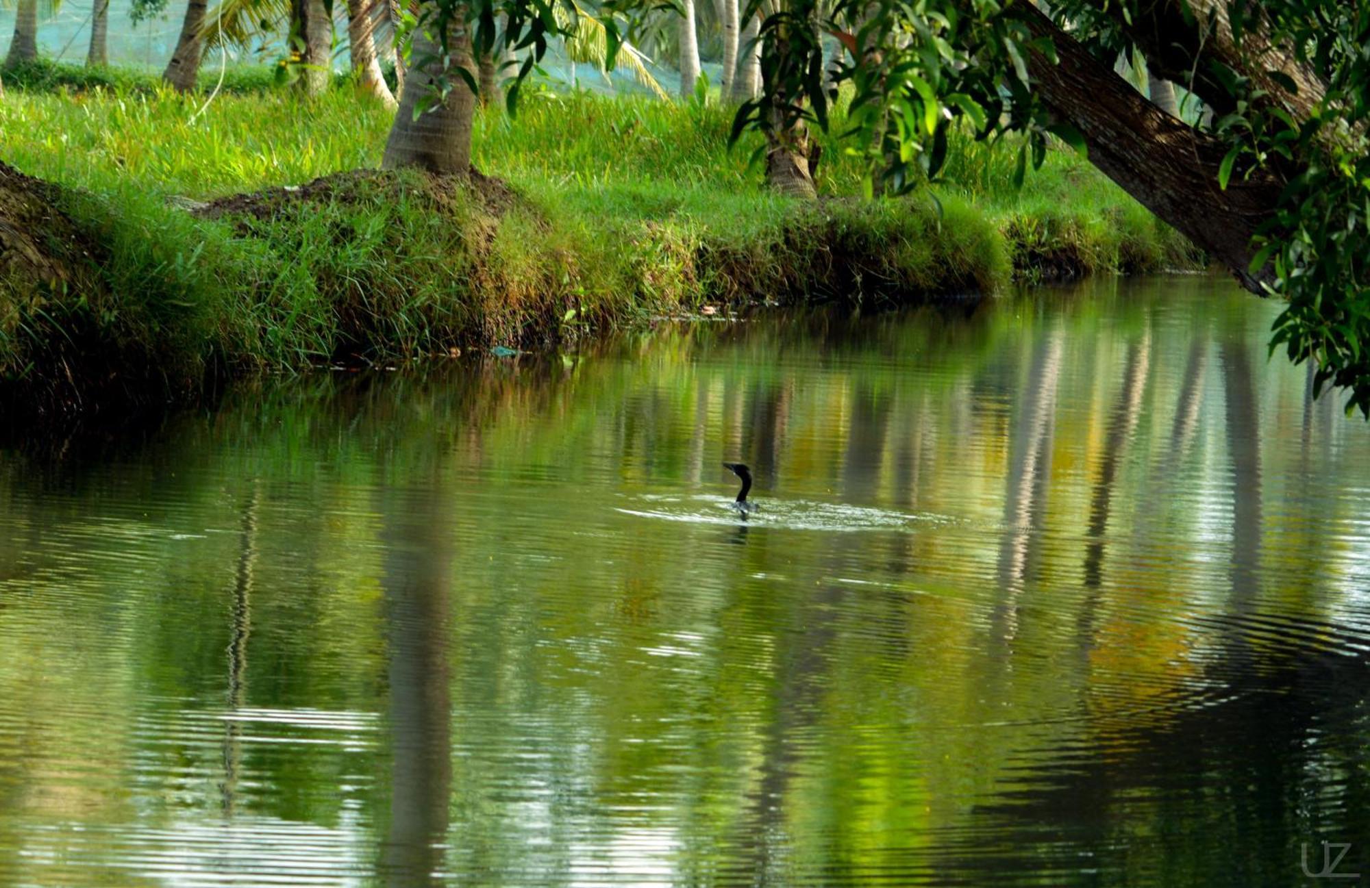 Prakruthi Residency Munroeisland * Mundrothuruth