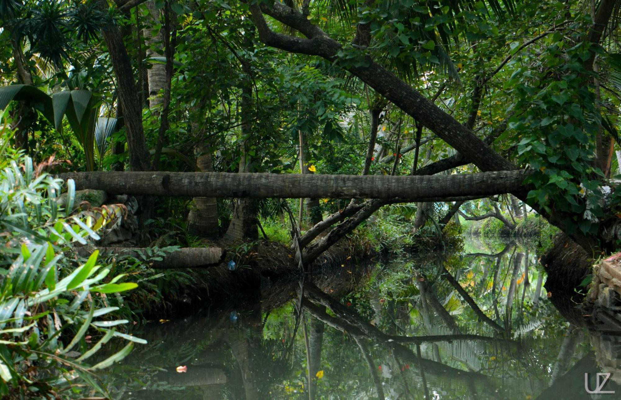 Prakruthi Residency Munroeisland Homestay Mundrothuruth